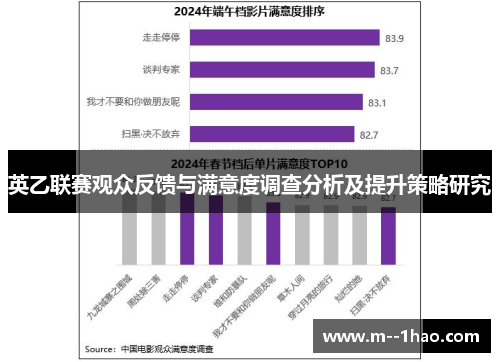 英乙联赛观众反馈与满意度调查分析及提升策略研究