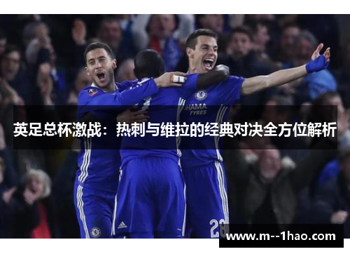 英足总杯激战：热刺与维拉的经典对决全方位解析