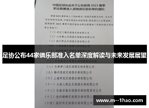 足协公布44家俱乐部准入名单深度解读与未来发展展望