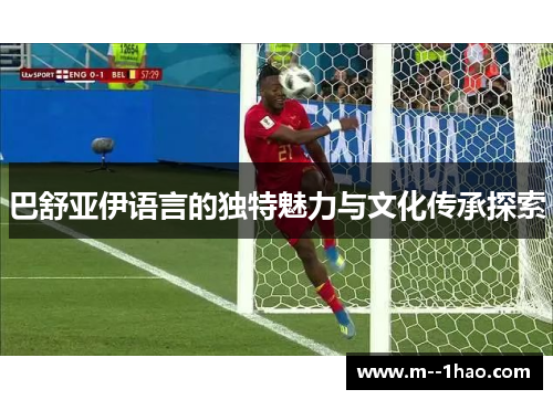 巴舒亚伊语言的独特魅力与文化传承探索