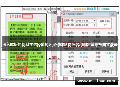 深入解析如何科学选择葡萄牙足球球队特色名称制定策略指南实战录