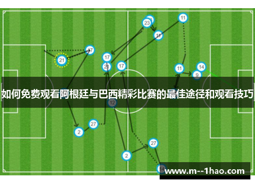 如何免费观看阿根廷与巴西精彩比赛的最佳途径和观看技巧