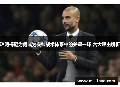 琼阿梅尼为何成为安帅战术体系中的关键一环 六大理由解析