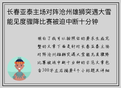 长春亚泰主场对阵沧州雄狮突遇大雪能见度骤降比赛被迫中断十分钟 长春亚泰主场对阵沧州雄狮突遇大雪能见度骤降比赛被迫中断十分钟